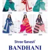 Shree Ganesh Bandhani Vol 3