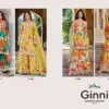 Your Choice Ginni Vol 2